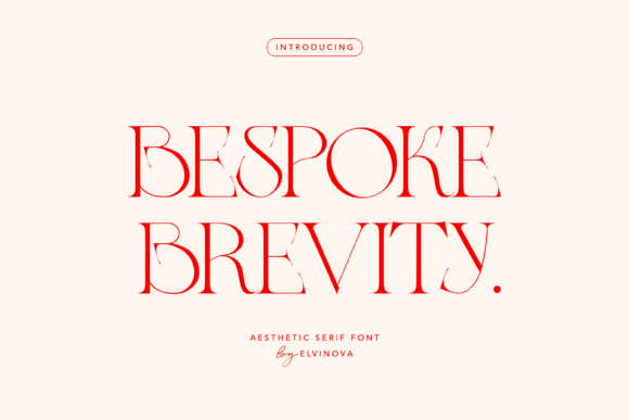 Bespoke Brevity: A Serif Font That Makes Your Campaigns Instantly Clear