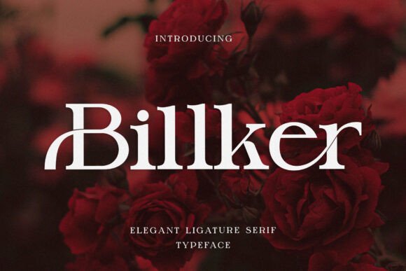 Billker: A Serif Font That Elevates Campaign Headlines with Quiet Confidence