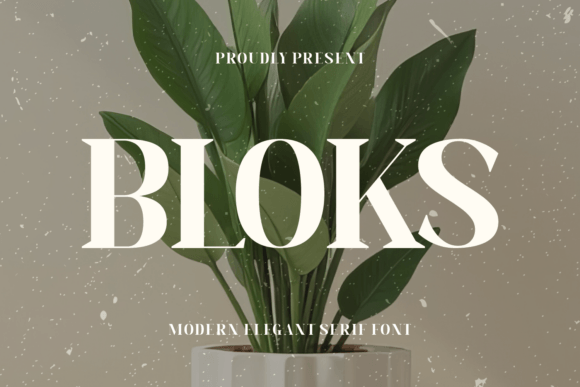 Bloks: A Serif Font That Breathes Quiet Confidence