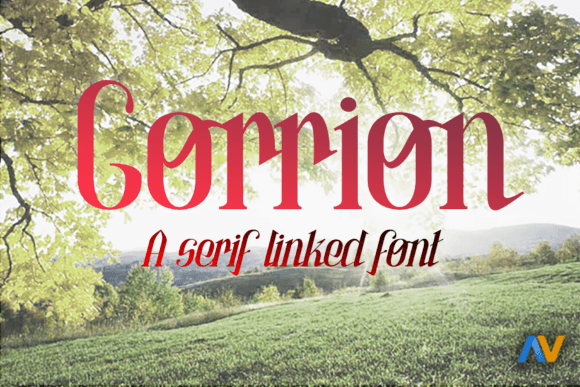 Gorrion: A Serif Font That Makes Your Campaigns Instantly Clear