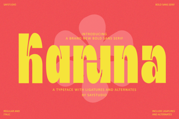 Karuna: A Bold Sans Serif for Modern Web Design