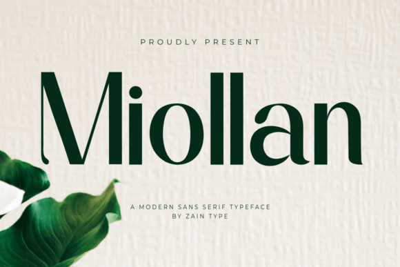 Miollan: A Modern Sans Serif That Elevates Real Small Business Branding